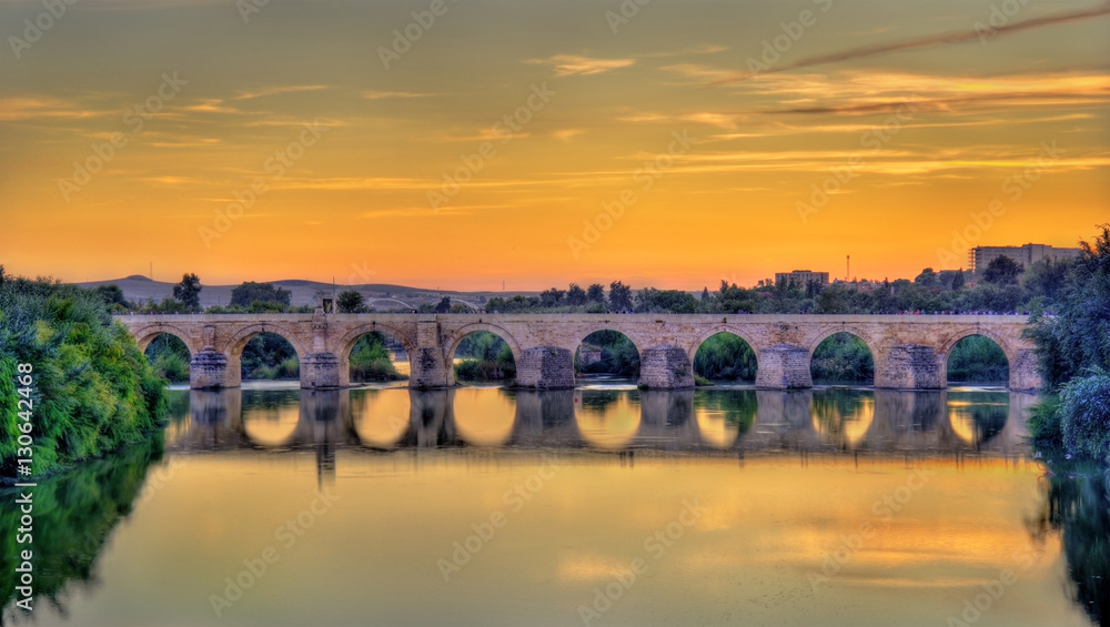 Roman Bridge across the Guadalquivir river in Cordoba, Spain