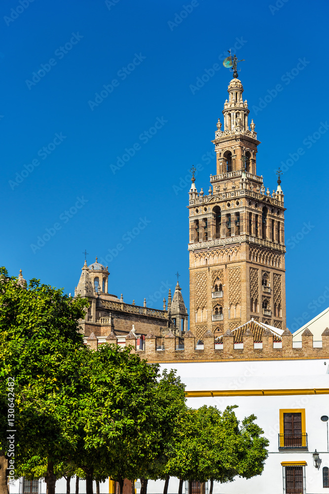 Fototapeta premium View of Seville Cathedral - Andalusia, Spain