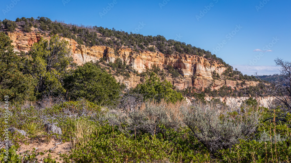 Beautiful landscape. Green trees on rock slopes. Scenic view of the canyon. Zion National Park, Utah, USA