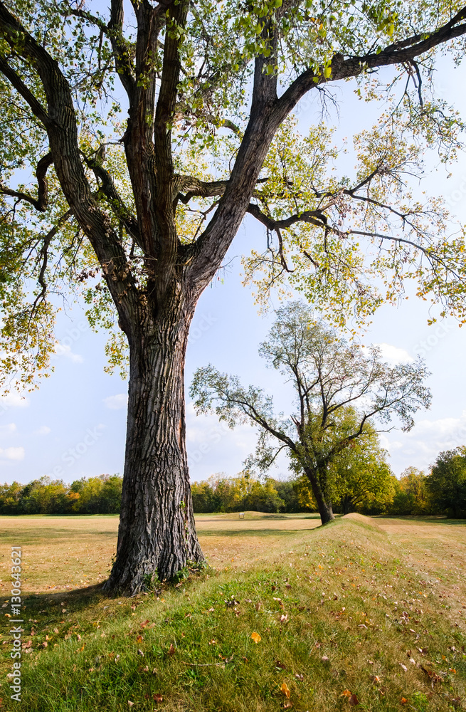 Hopewell Culture National Historical Park Hopewell Culture National Historical Park