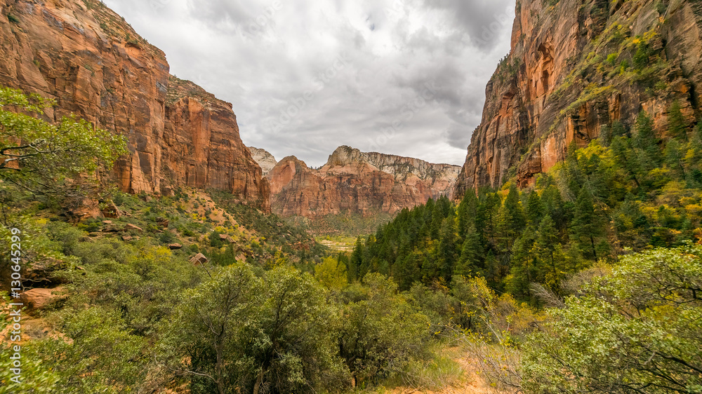 Scenic view of the canyon. A scenic view is seen from EMERALD POOLS TRAIL, Zion National Park, Utah, USA