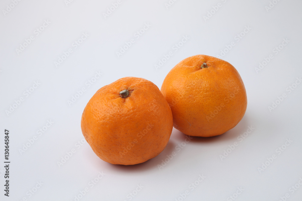 mandarin orange mandarin orange