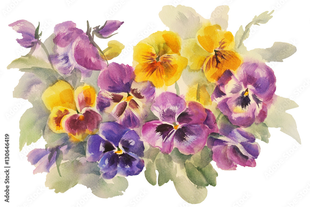 bouquet of violas watercolor isolated - obrazy, fototapety, plakaty 