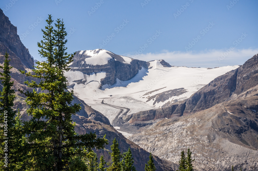 Peyto Glacier, Banff National Park, Alberta, CA