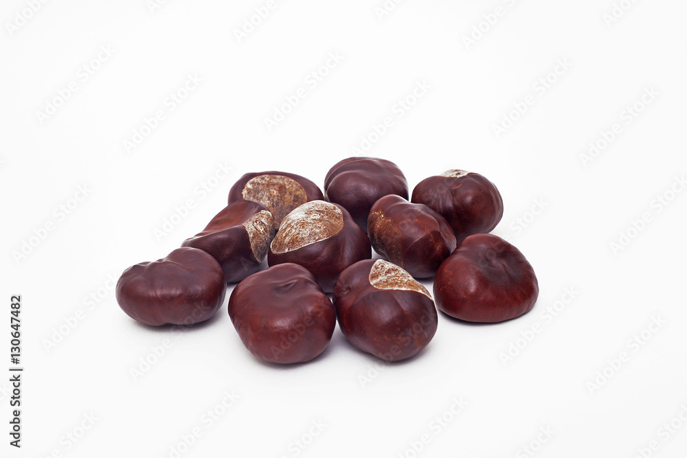 kestane kestane