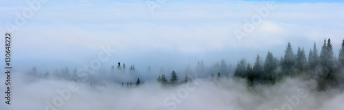 Foggy Landscape. Mountain ridge with clouds flowing through the pine trees.