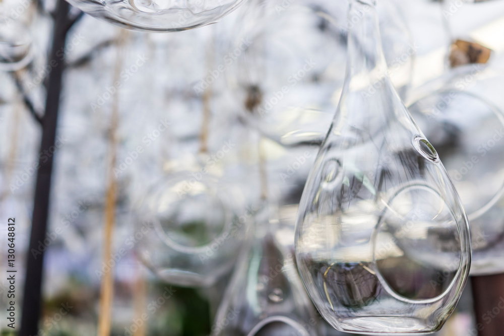 Hanging glass terrariums for plants Hanging glass terrariums for plants
