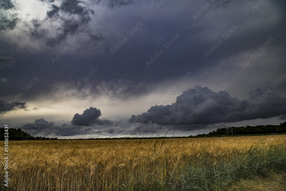 Storm Brewing