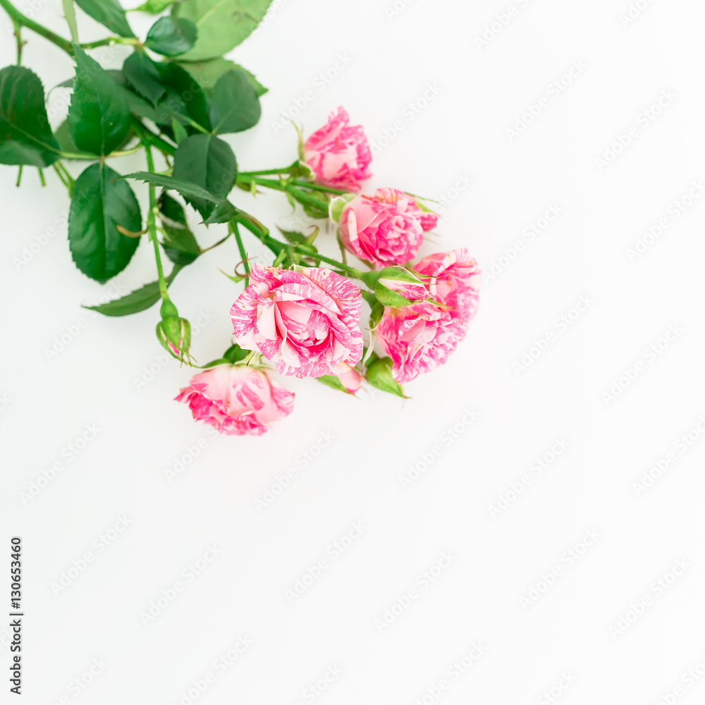 Fototapeta premium Flowers. Flat lay, Top view