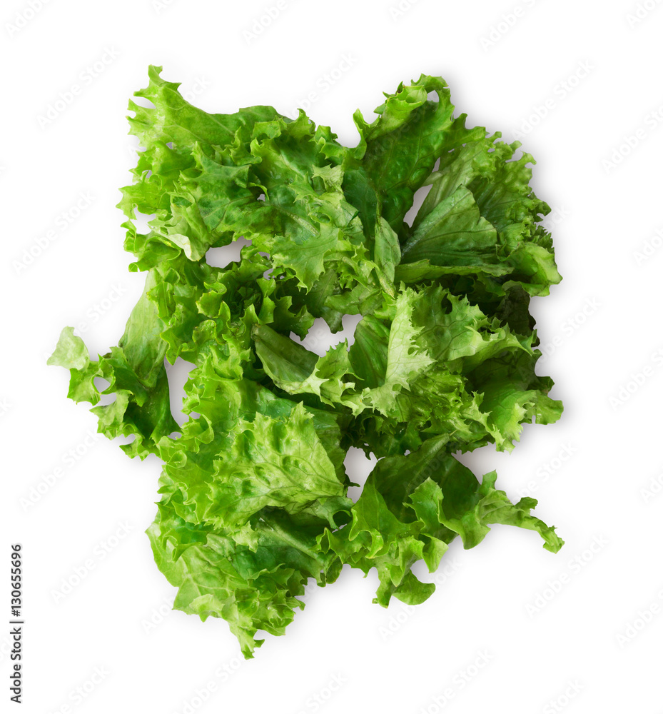 Green fresh lettuce isolated on white background Green fresh lettuce isolated on white background
