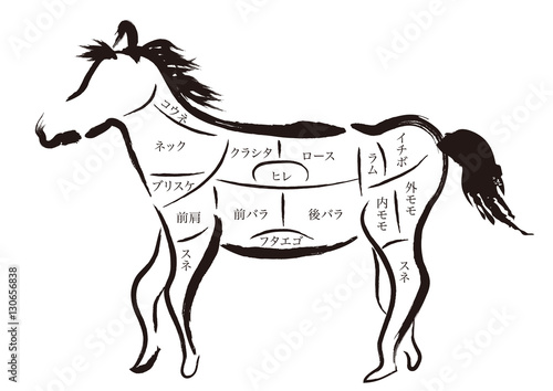 馬肉　部位の名称