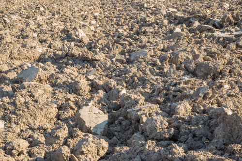 Plowed field