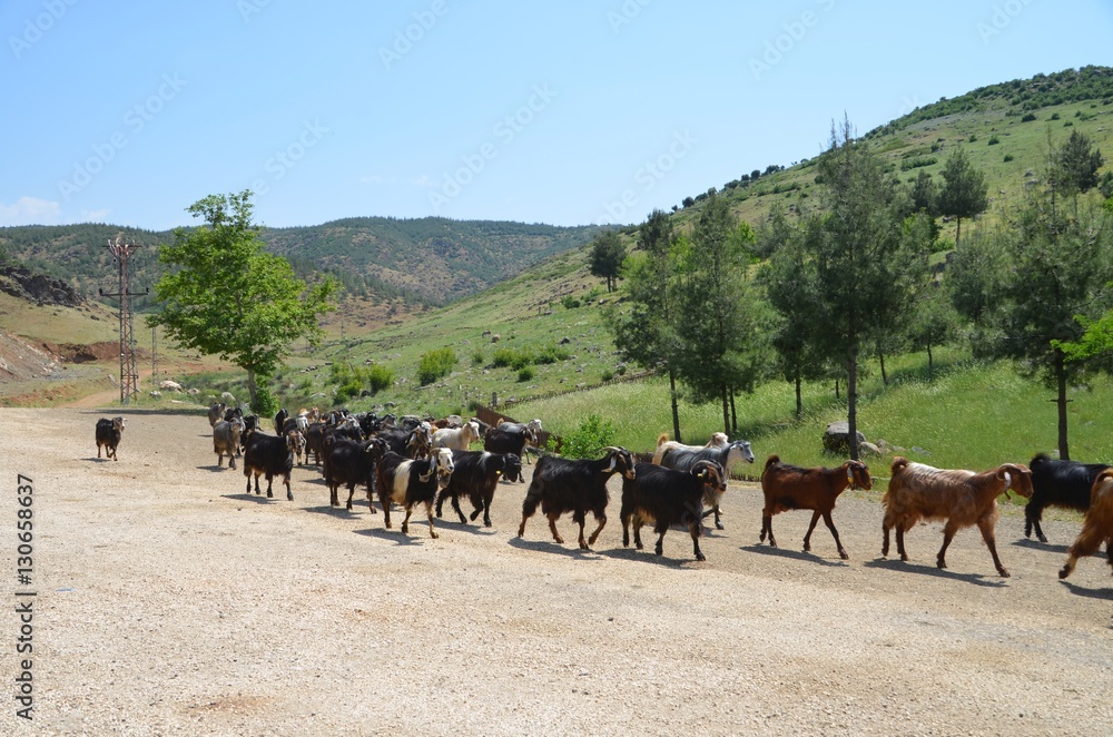 Obraz premium Yesemek Quarry and Sculpture Workshop