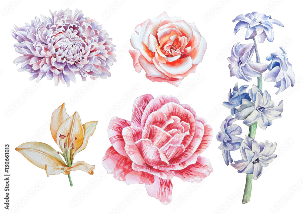 Set with flowers. Rose. Lily. Peony. Hyacinth. Watercolor illustration. Set with flowers. Rose. Lily. Peony. Hyacinth. Watercolor illustration.