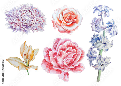 Fototapeta Naklejka Na Ścianę i Meble -  Set with flowers. Rose. Lily. Peony. Hyacinth. Watercolor illustration.
