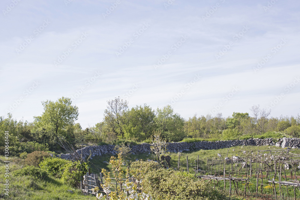 Obraz premium Landschaft in Istrien