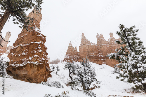 Hoodoos in Snow at Bryce Ca...