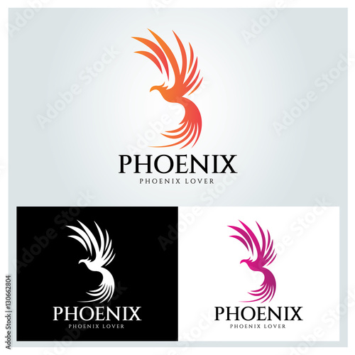 Phoenix logo design template ,Vector illustration