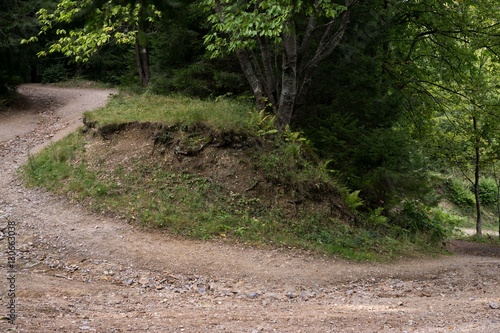 Path in forest. Slovakia