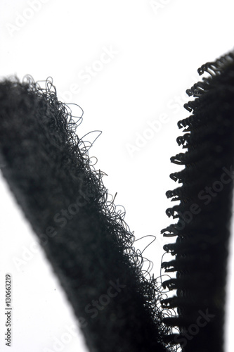 Foto detail of velcro