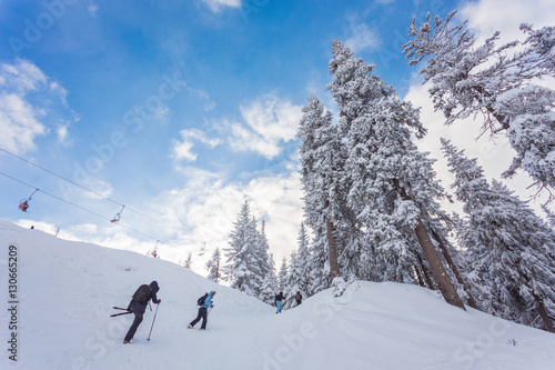 People play ski in resort in winter © Ryzhkov Oleksandr