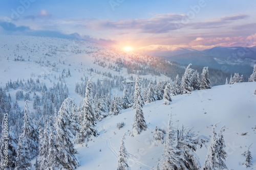 Fototapeta Naklejka Na Ścianę i Meble -  Beautiful winter landscape