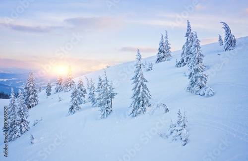Fantastic evening winter landscape