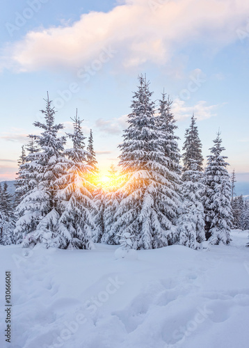 majestic sunset in the winter mountains © Ryzhkov Oleksandr