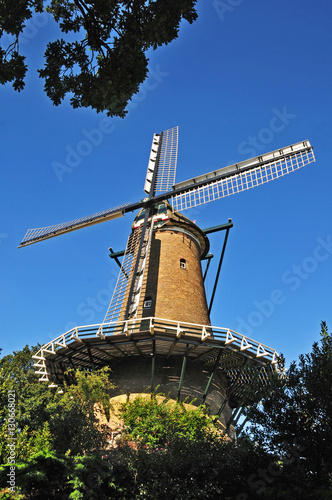 L'antico millino a vento di Alkmaar, Olanda - Paesi Bassi