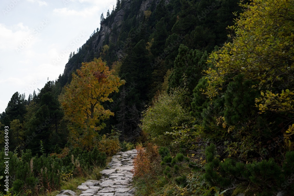 Stony path in High Tatras Mountains. Slovakia