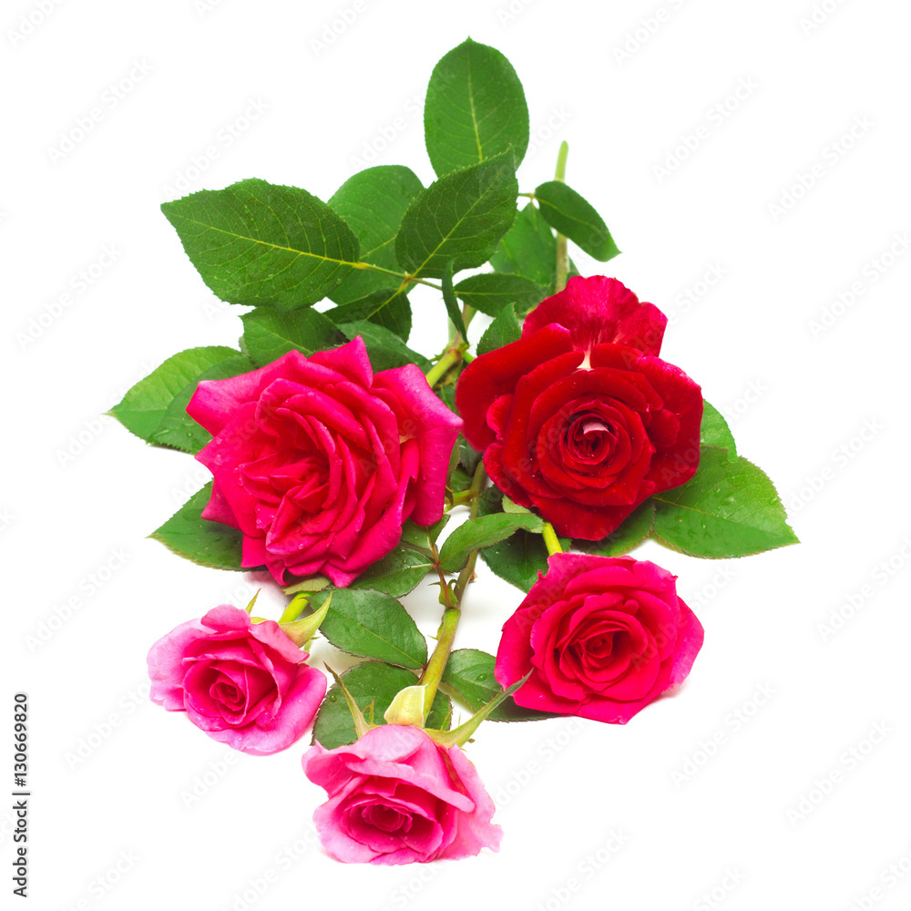 A beautiful bouquet of red flowers A beautiful bouquet of red flowers