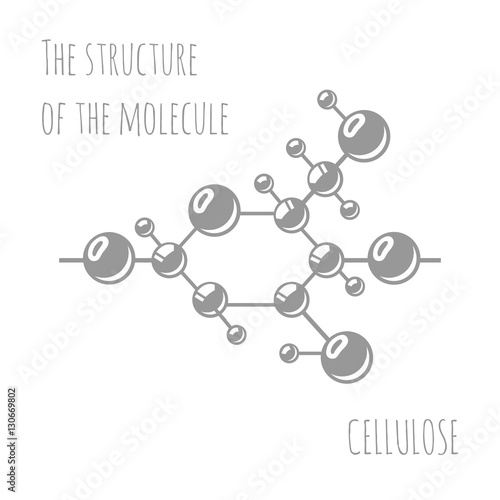 The structure of polymeric molecules. Polymers. Chemical production