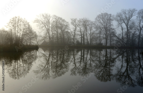 Misty reflection