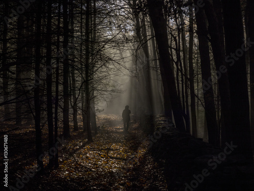 Person walking through forest, rear view photo