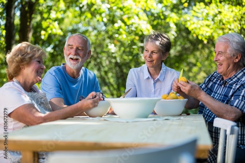 Senior couples removing seeds of apricot fruits in garden