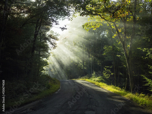 View of empty road in forest with sunlight coming through trees
