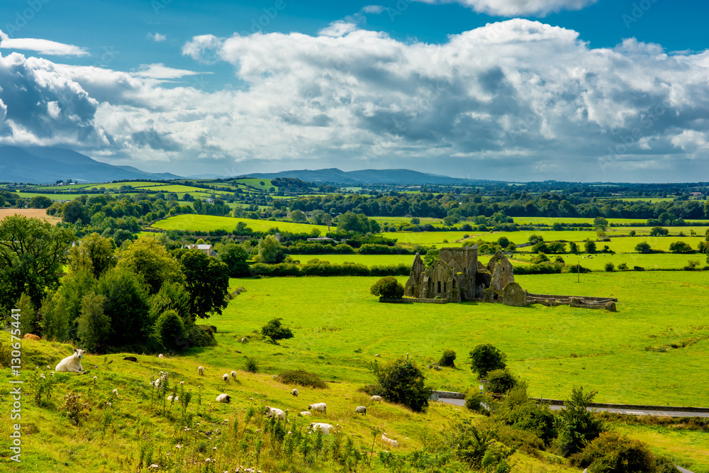 Ausblick von Hügel mit Schafen über Landschaft in Irland 