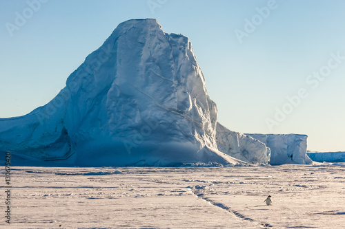 Antarctic iceberg with penguin