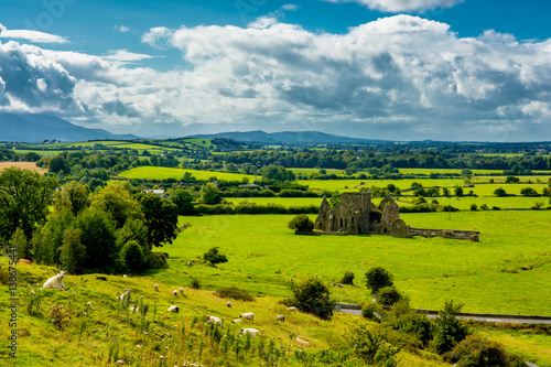 Ausblick von Hügel mit Schafen über Landschaft in Irland 
