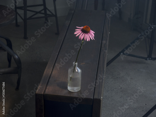 Gerbera in bottle 
