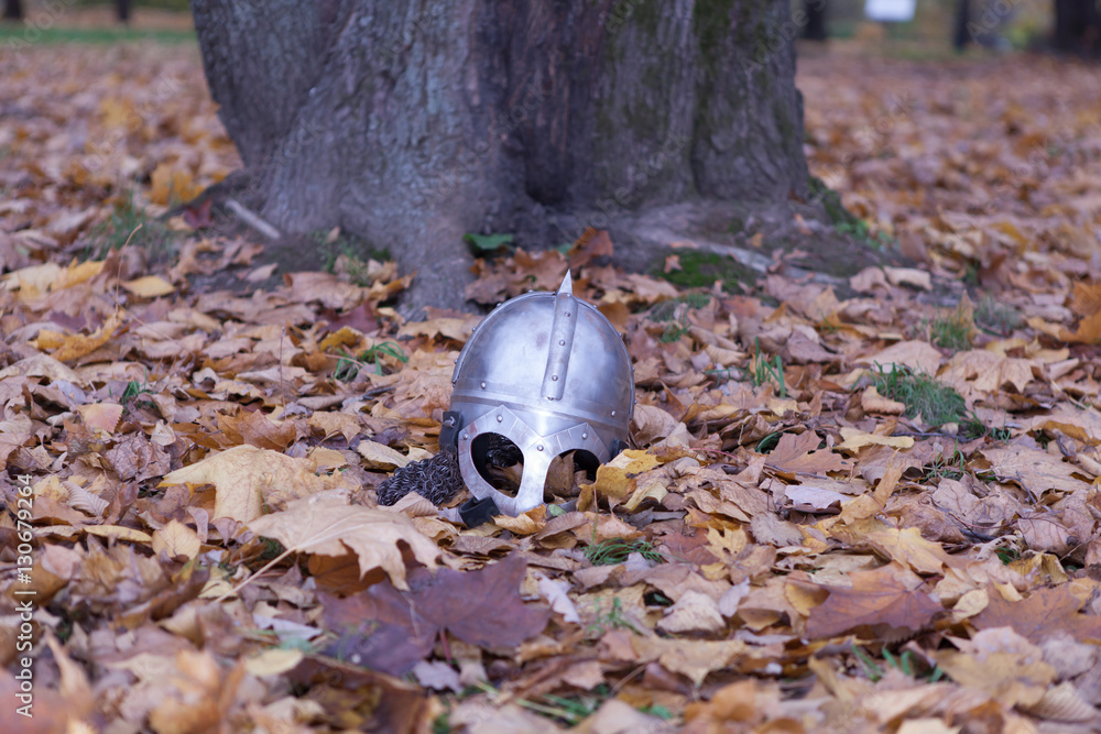 Obraz premium helmet