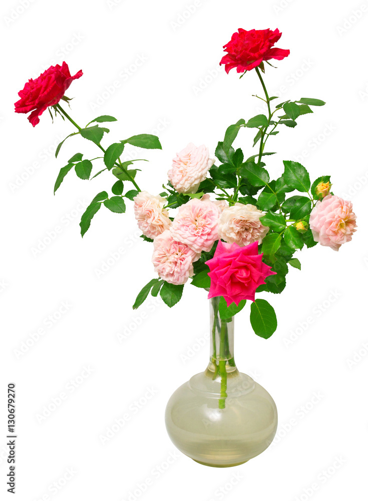 Flowers roses in a vase isolated on white background