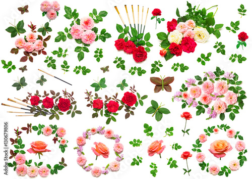 A beautiful collection of flowers roses, butterflies, leaf, brus