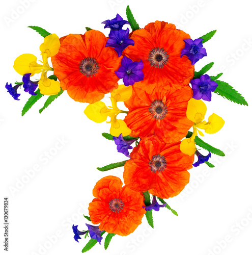 Flowers red poppies and yellow iris and pink carnations isolated