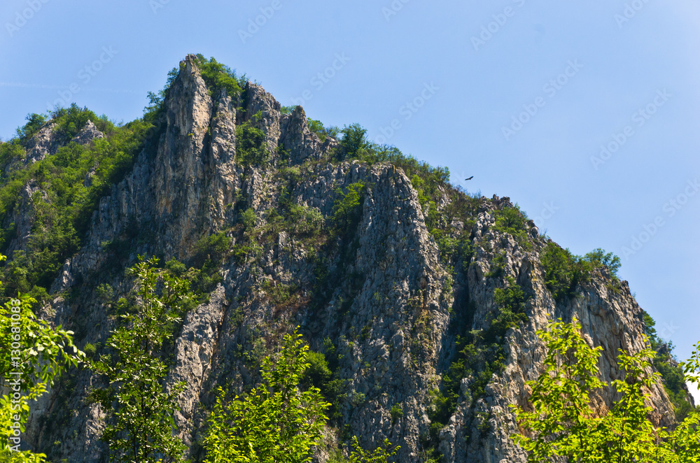 Path to the Eagle's nest at Tresnjica gorge with one bald eagle high in the sky, west Serbia