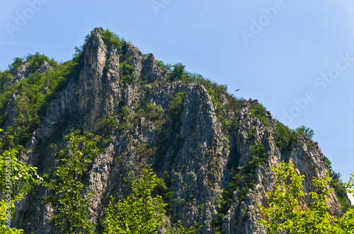 Path to the Eagle's nest at Tresnjica gorge with one bald eagle high in the sky, west Serbia