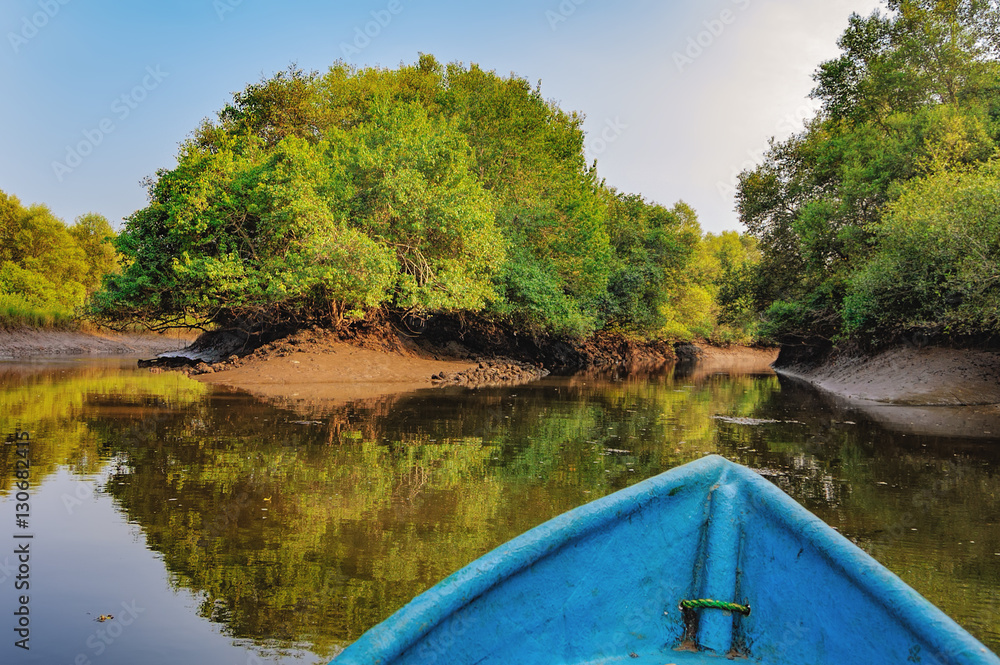Boat trip in mangrove tunnels in Salim Ali Bird Sanctuary, Goa, India. Reflection of the jungle in the water channels. The boat chooses the way through the nature reserve
