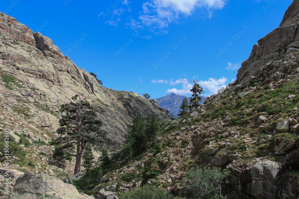 Mountain landscape, Corse, France. Mountain landscape, Corse, France.