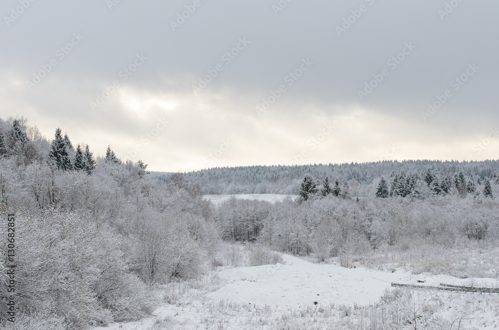 Niveous snowy landscape. Winter forest and grey sky. Beautiful natural background with snow covered trees Niveous snowy landscape. Winter forest and grey sky. Beautiful natural background with snow covered trees