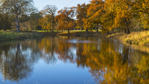 Fototapeta Naklejka Na Ścianę i Meble -  Winter reflections in the lake Holkham Park Norfolk